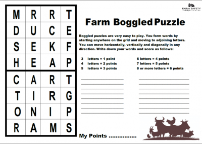 Farm Safety – Boggled Puzzle