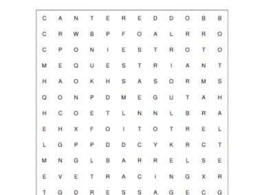 Horse Safety – Word Search