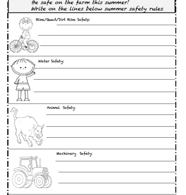 Summer Safety Rules – Written responses